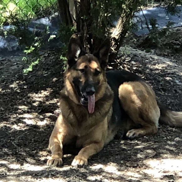 WELCOME TO MY CLOSET - Picture 2 of 4